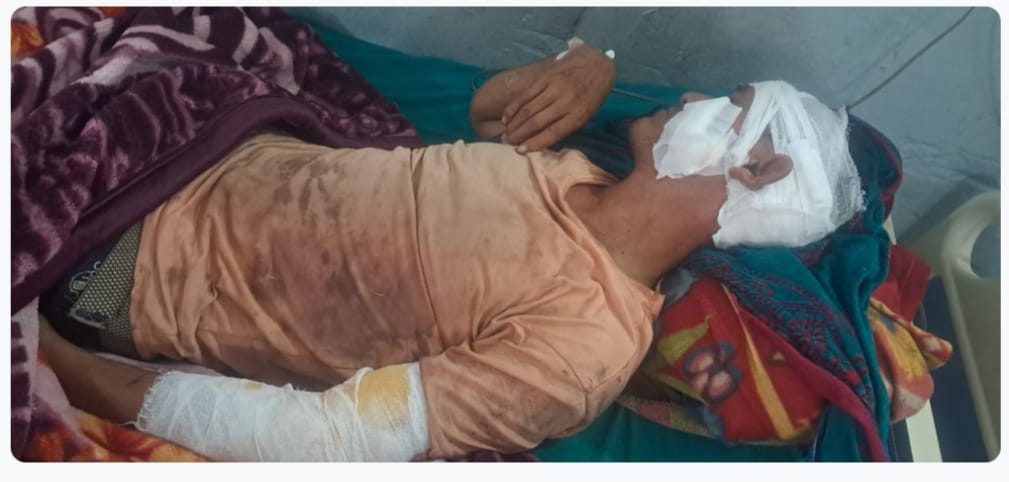 बाघको आक्रमणमा परी एक जना घाइते