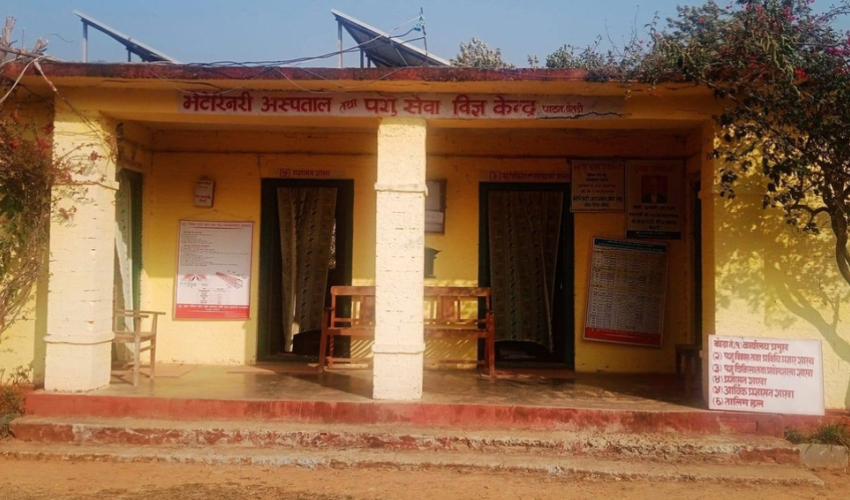 पाटनकाे पशु सेवा केन्द्रमा विज्ञ अभाव