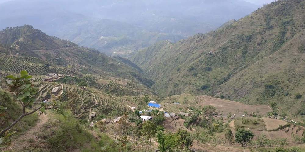 ५० वर्षदेखि बैतडीका बासिन्दा कर तिर्न डडेल्धुरा धाउँदै