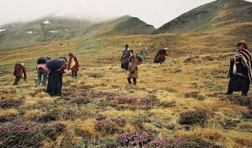 यार्चा सिजनले बझाङका ५० भन्दा बढी विद्यालय बन्द