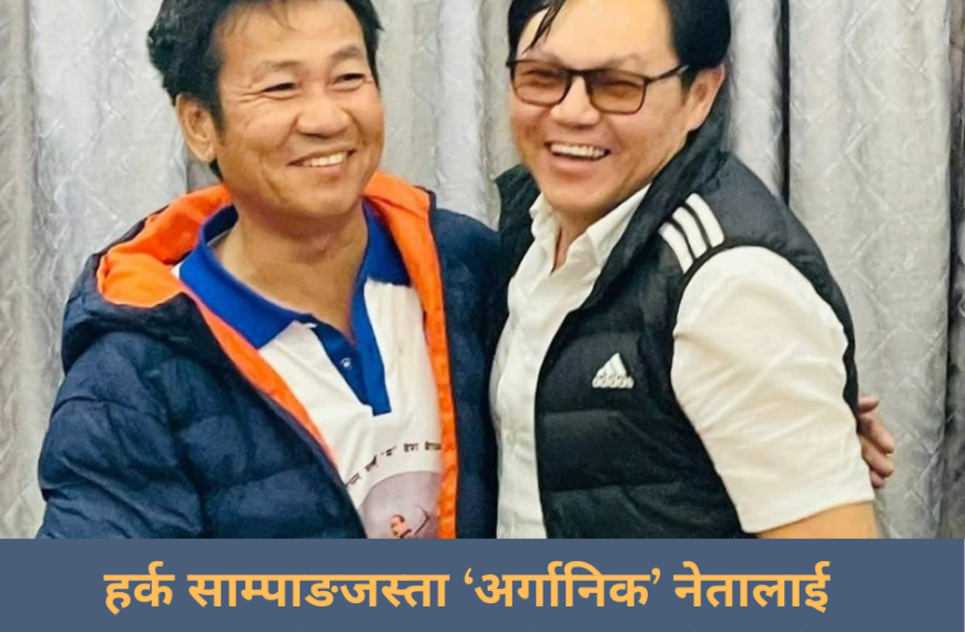 हर्क साम्पाङजस्ता ‘अर्गानिक’ नेतालाई प्रधानमन्त्री बनाउनुपर्छ: सुदन किराती