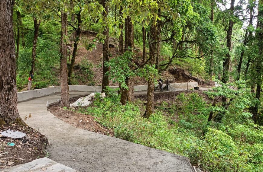 लाटा गन्याप शिखर क्षेत्रमा पदमार्ग निर्माण हुदै