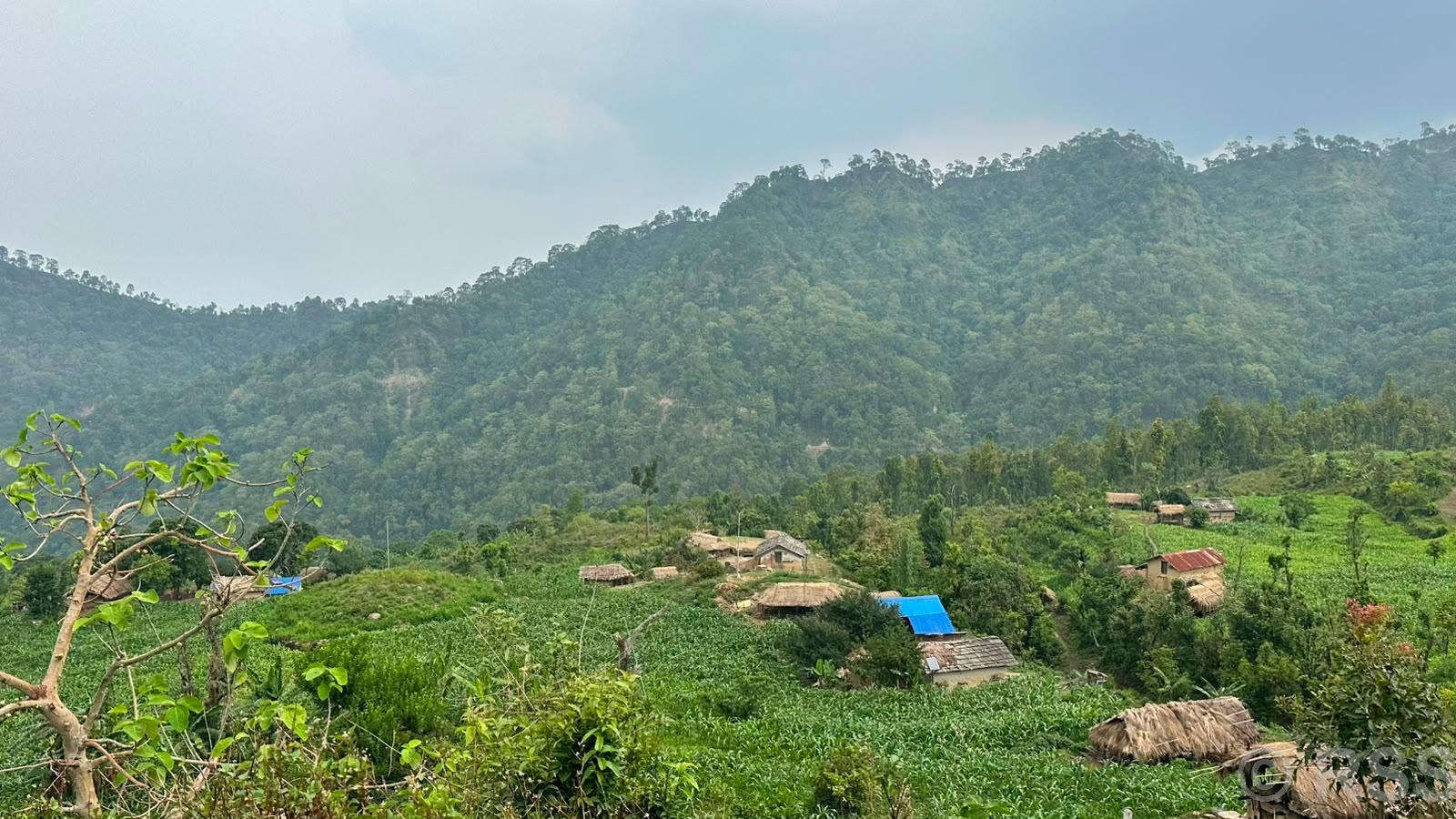भौतिक विकासको पर्खाइमा डडेल्धुराको पलगडी गाउँ