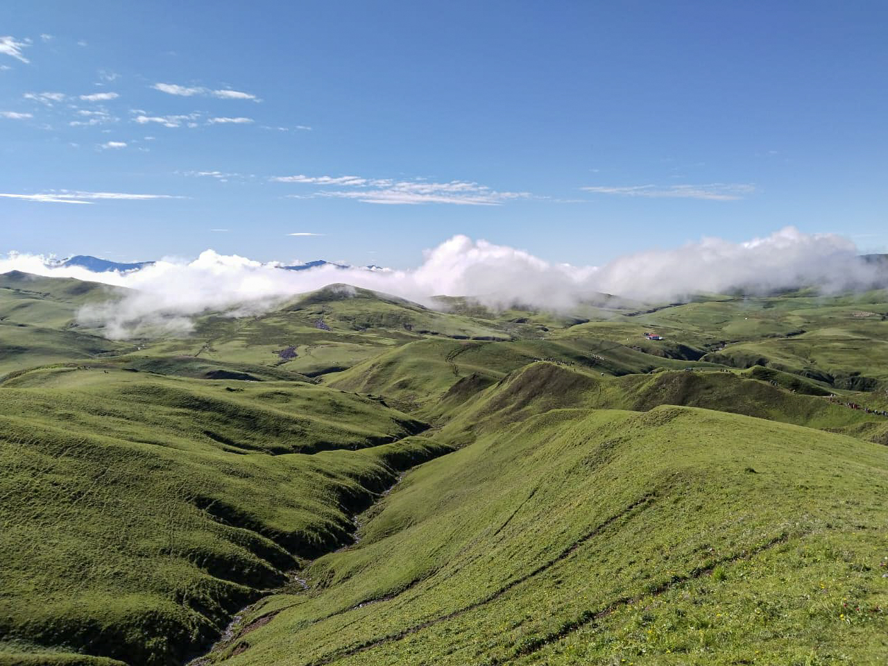 त्रिवेणी पाटनले लोभ्याउँदै आन्तरिक पर्यटक